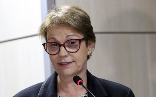 Brasil tem fertilizantes at&eacute; outubro, garante ministra - Pequenas Empresas  Grandes Neg&oacute;cios | Economia