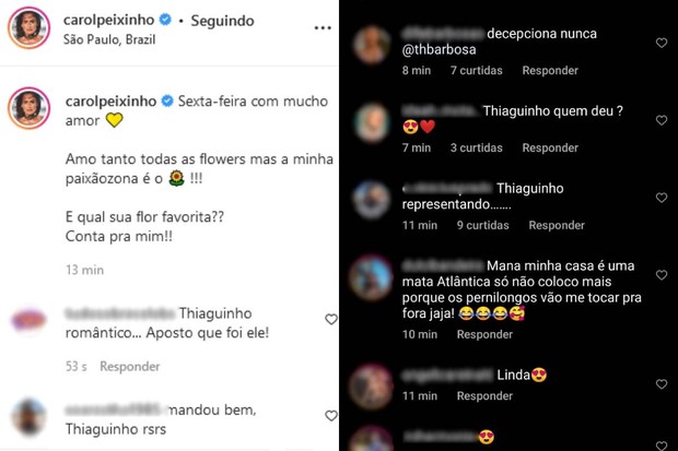Carol Peixinho recebe flores e fãs especulam que sejam de Thiaguinho (Foto: Reprodução/Instagram)