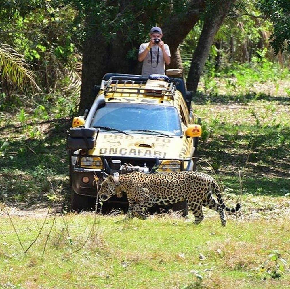 No Onçafari, avistamentos são feitos de dia ou à noite de carro — Foto: Divulgação/Onçafari