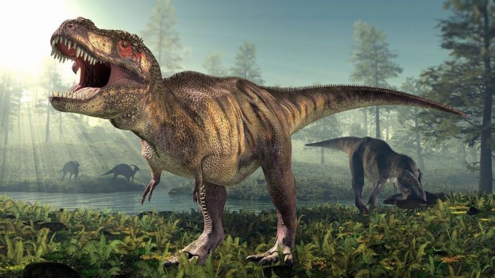 Ser que o Tyrannosaurus rex realmente emitia o rugido assustador retratado no cinema?  Foto: ROGER HARRIS/SPL/GETTY IMAGES via BBC