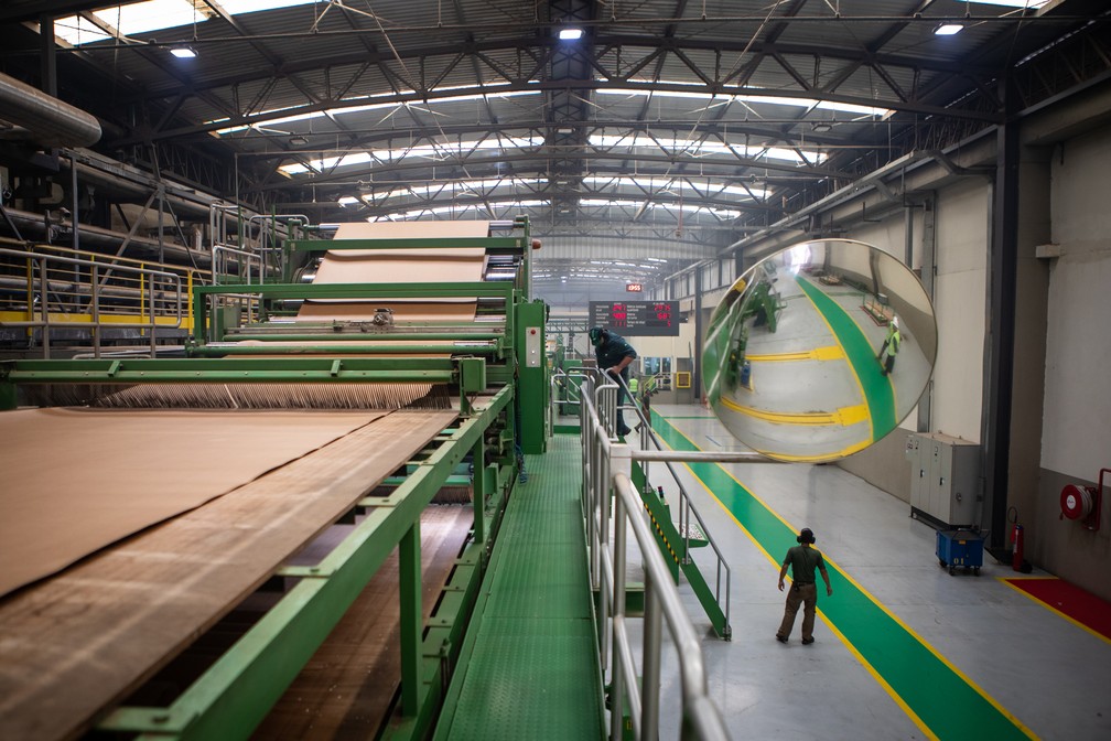 Indústria cresceu 0,7% no 2º trimestre e ajudou na alta do PIB; na foto, fábrica de papelão ondulado para embalagens no interior de São Paulo  — Foto: Fabio Tito/G1