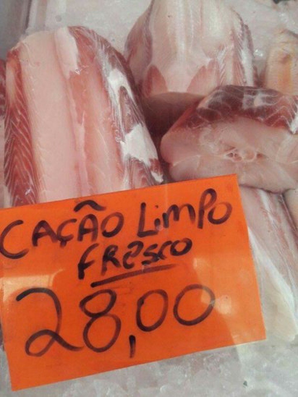 Muita gente come tubarão sem saber  (Foto: Mônica Manir)