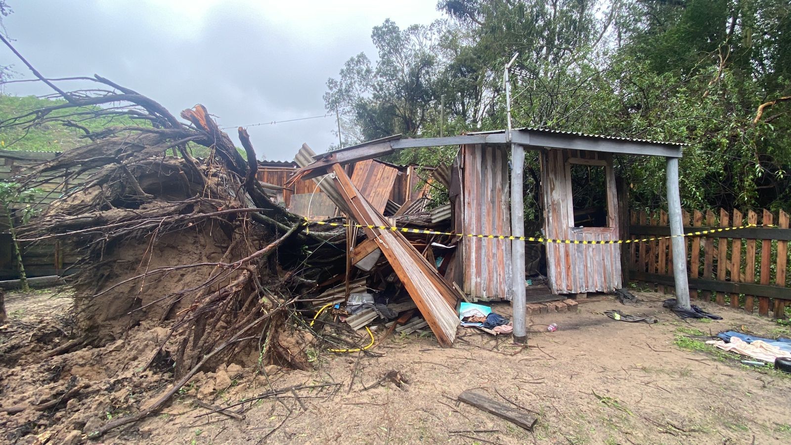 Ciclone extratropical: homem morre após queda de árvore sobre casa no RS, diz Defesa Civil