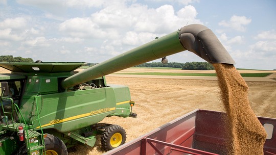 Commodities: Receio com oferta russa puxa alta do trigo em Chicago
