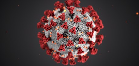 Novo coronavírus afeta sistema respiratório (Foto: Creative commons)