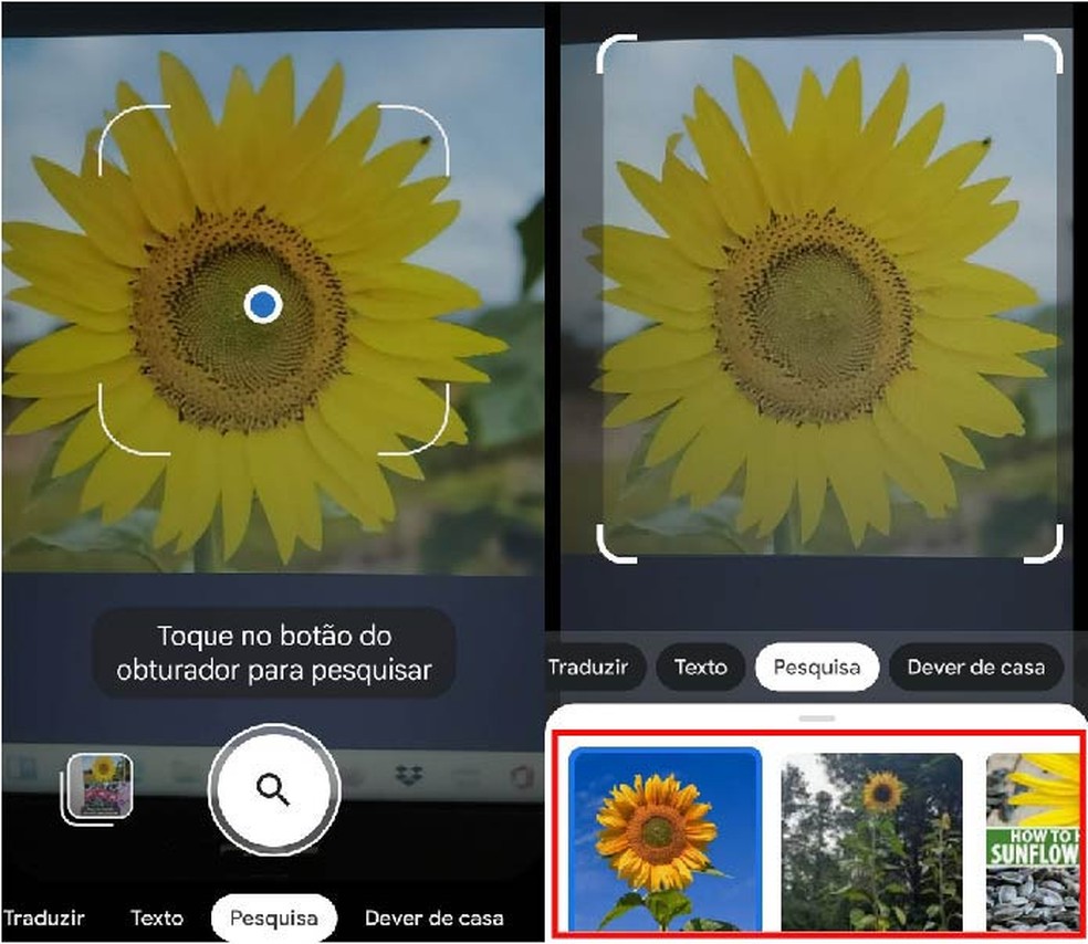 Google busca diversos tipos de imagens por meio da câmera do smartphone ou da sua galeria de fotos — Foto: Reprodução/Paola Mansur