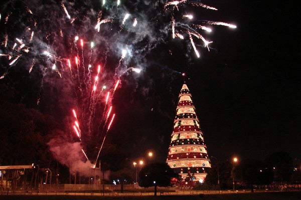 Árvore de Natal do Ibirapuera em 2008 (Foto: Paulo Toledo Piza/G1)