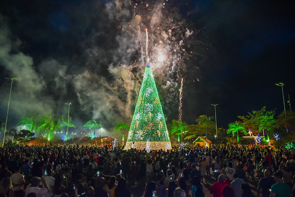 Árvores gigantes e Papai Noel: confira a programação de Natal na Grande  Vitória | Espírito Santo | G1