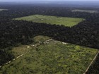 Desmatamento na Amazônia cai 19%, calcula Inpe