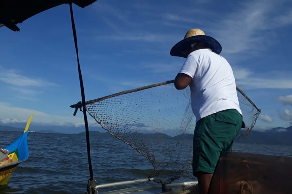 Piracema termina e pesca volta a ser permitida no ParanÃ¡ a partir desta sexta-feira (28) â€” Foto: DivulgaÃ§Ã£o/Aen