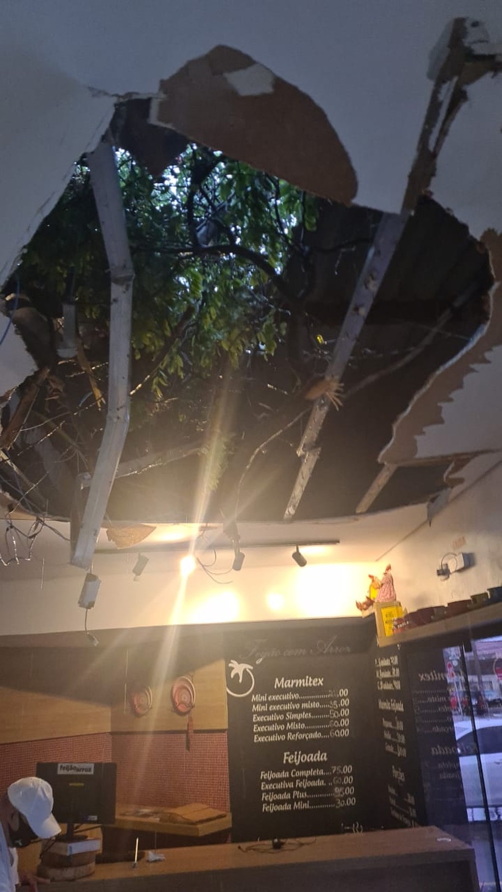 Árvore caiu em cima de restaurante por volta das 5h30 (de MS), diz proprietário — Foto: Redes Sociais/Divulgação 