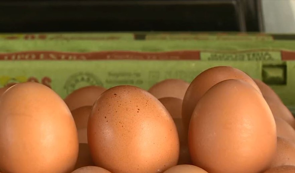 População passa a noite em fila para comprar ovo mais barato em Teresina; vídeo — Foto: Reprodução/ NSC