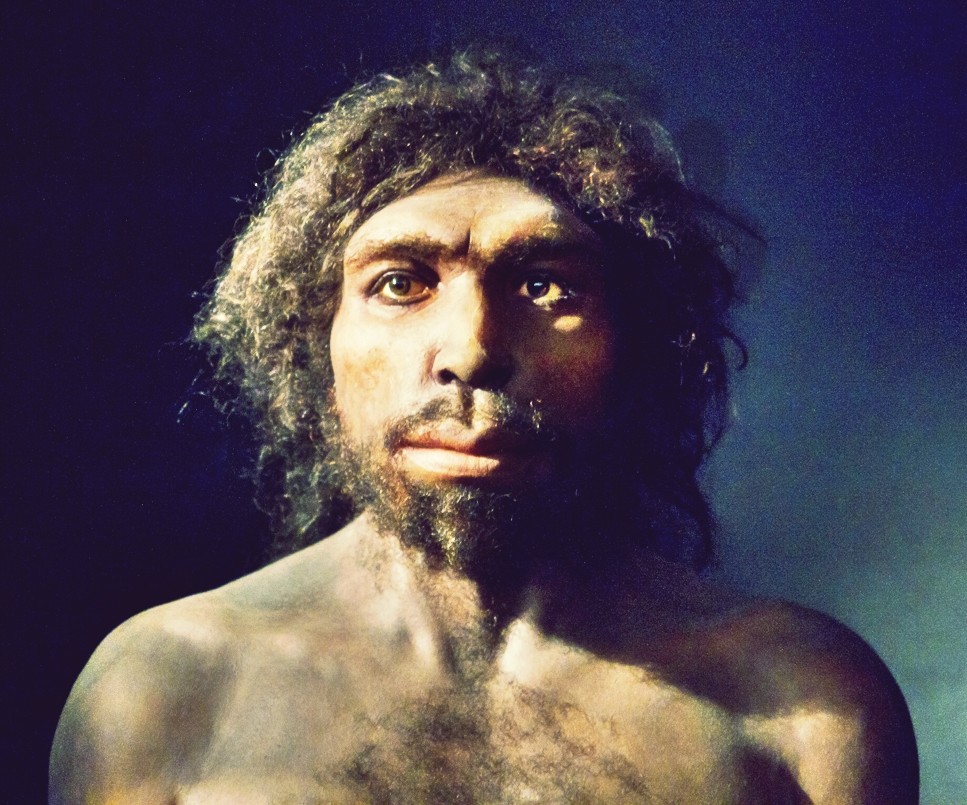 Representação de um Homo Antecessor, possível elo entre humanos e neandertais (Foto: Wikimedia Commons)