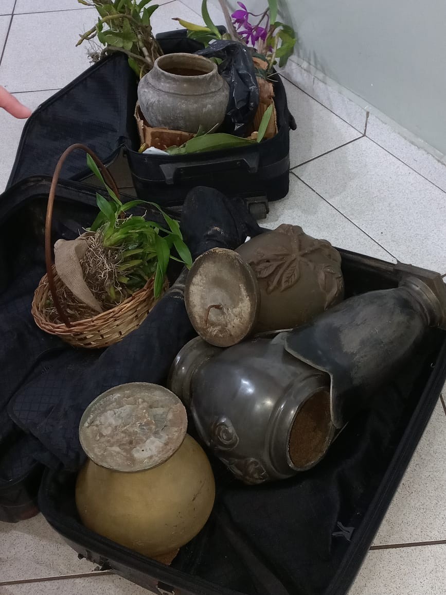 Casal é detido por furto de vasos de bronze no Cemitério Saudades em Limeira