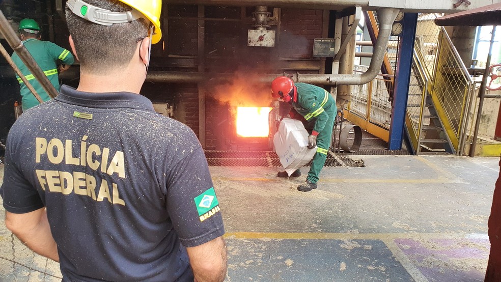 Polícia Federal: foram incinerados cerca de 800 quilos de drogas em Arez, na Grande Natal — Foto: Divulgação