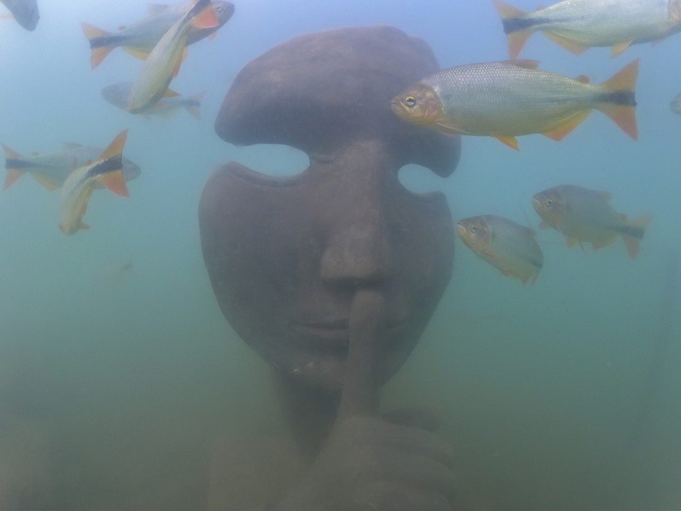 Bonito inaugura primeiro Museu Subaquático de água doce do mundo — Foto: Museu Subaquático de Bonito/Divulgação