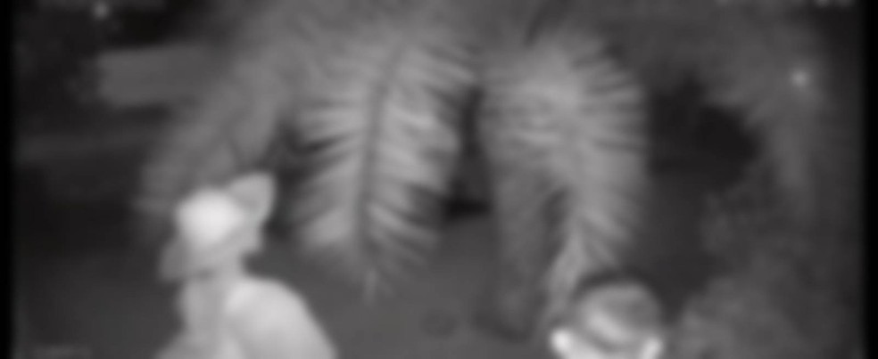 Imagens foram usadas para identificação dos suspeitos — Foto: Reprodução