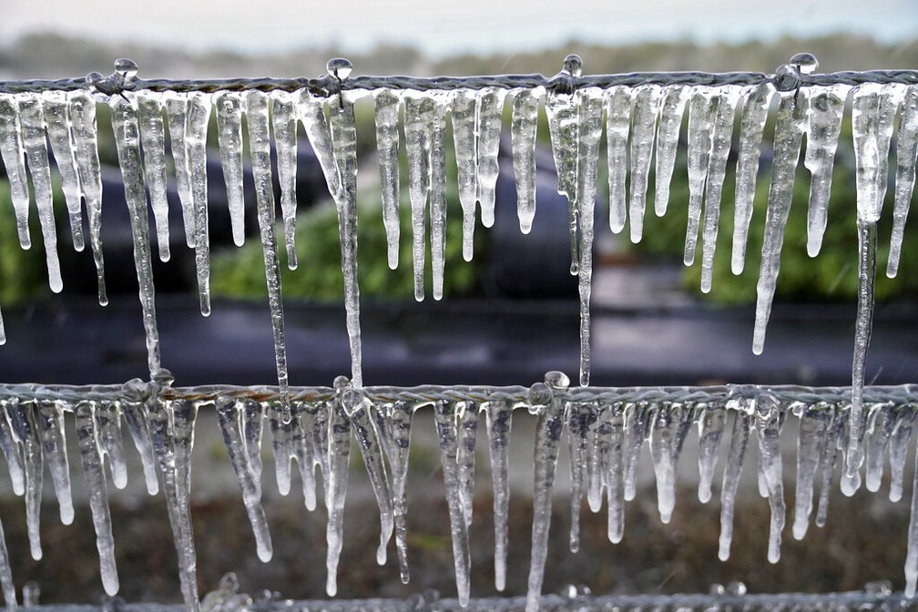 Gelo se formou durante a madrugada em pontos da Flórida, nos EUA — Foto: AP