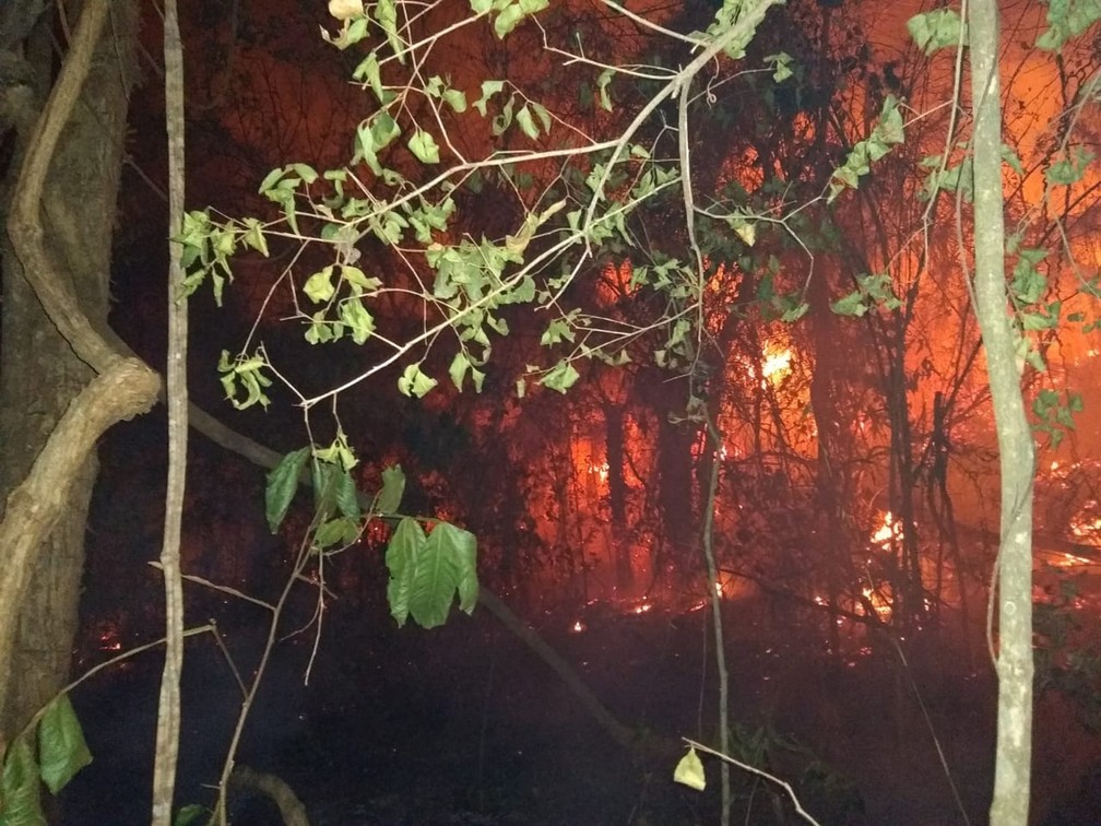 Chamas destroem vegetação na Serra Tapirapuã — Foto: Sema-MT/ Divulgação