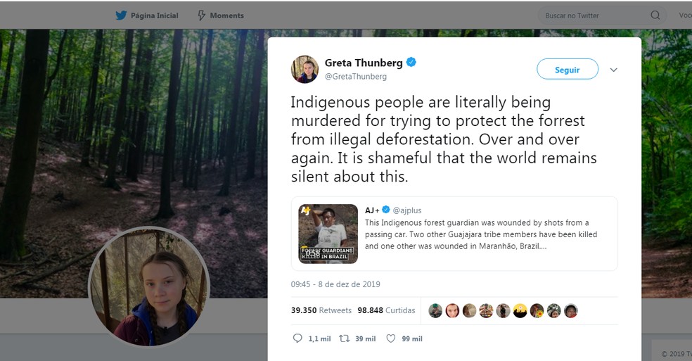 Em uma postagem na internet, Greta disse que índios estão sendo assassinados por tentarem proteger a floresta — Foto: Reproduçaõ/Twitter