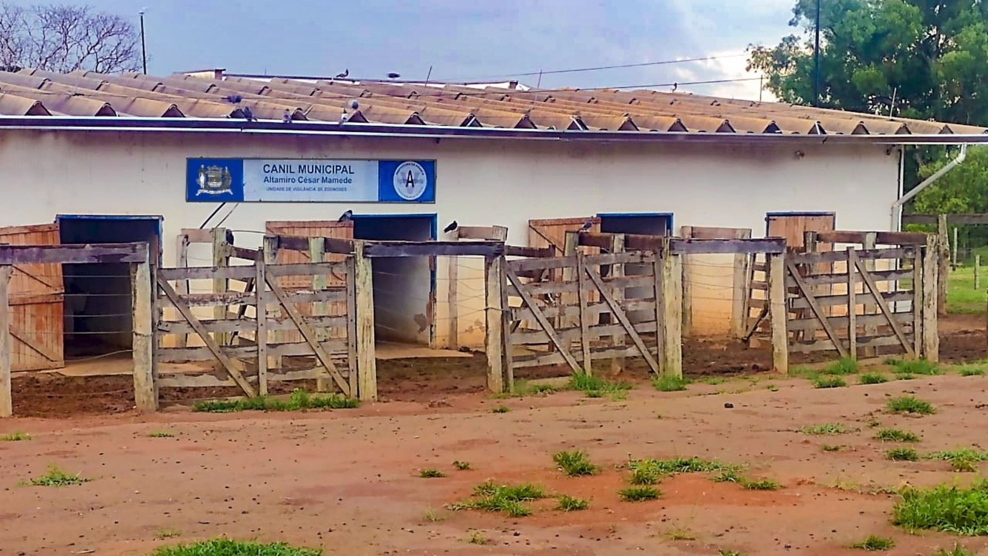 Castração de animais gratuita volta a ser oferecida pelo Canil Municipal de Franca, SP