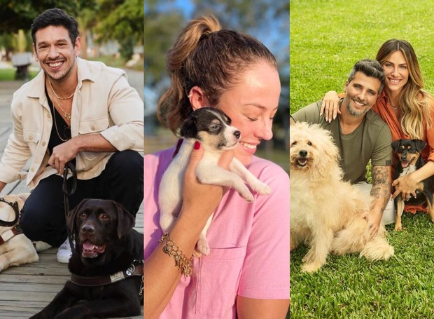 João Vicente de Castro, Paolla Oliveira, Bruno Gagliasso e Giovanna Ewbank são apaixonados por cachorros (Foto: Instagram/ @joaovicente27 @paollaoliveira @brunogagliasso/Reprodução)