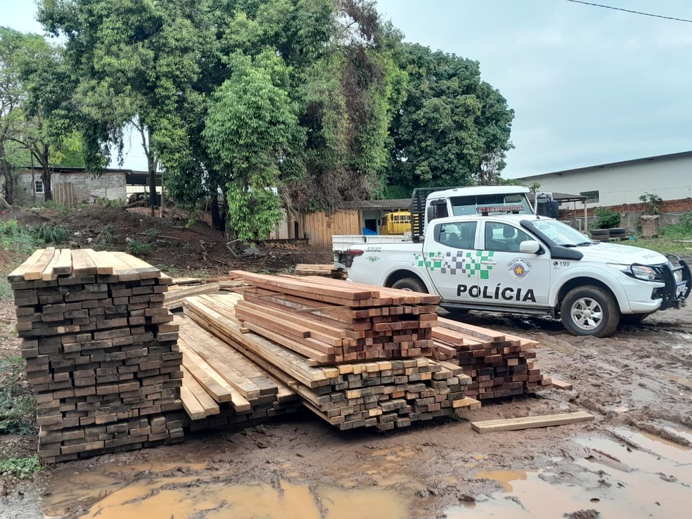Madeireira é multada em R$ 5 mil por depósito e venda irregular de madeira, em Presidente Prudente (SP) — Foto: Polícia Ambiental