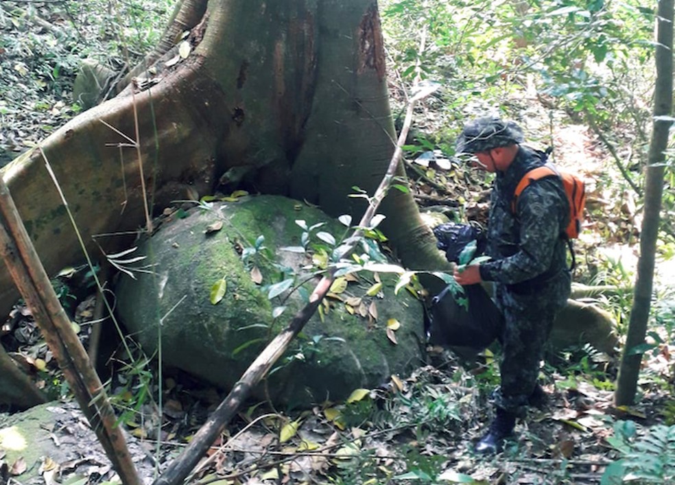 Polícia Ambiental apreende espingardas durante fiscalização em Ilhabela — Foto: Divulgação/Polícia Ambiental