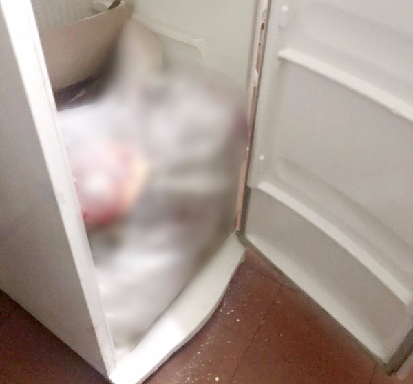 Mulher de 25 anos é morta e deixada em geladeira após briga de trisal