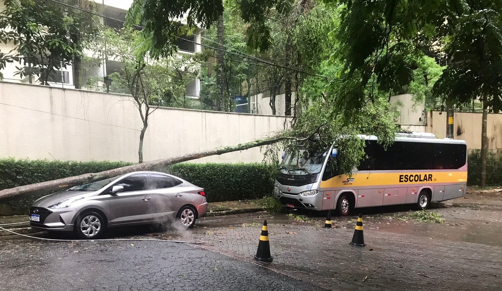 Árvore cai sobre carro e ônibus escolar durante chuva que atingiu São Paulo nesta terça (13) — Foto: Abraão Cruz/TV Globo