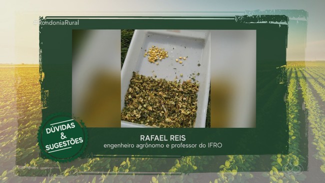 Parte 1: Sexto episódio sobre Silagem de Milho