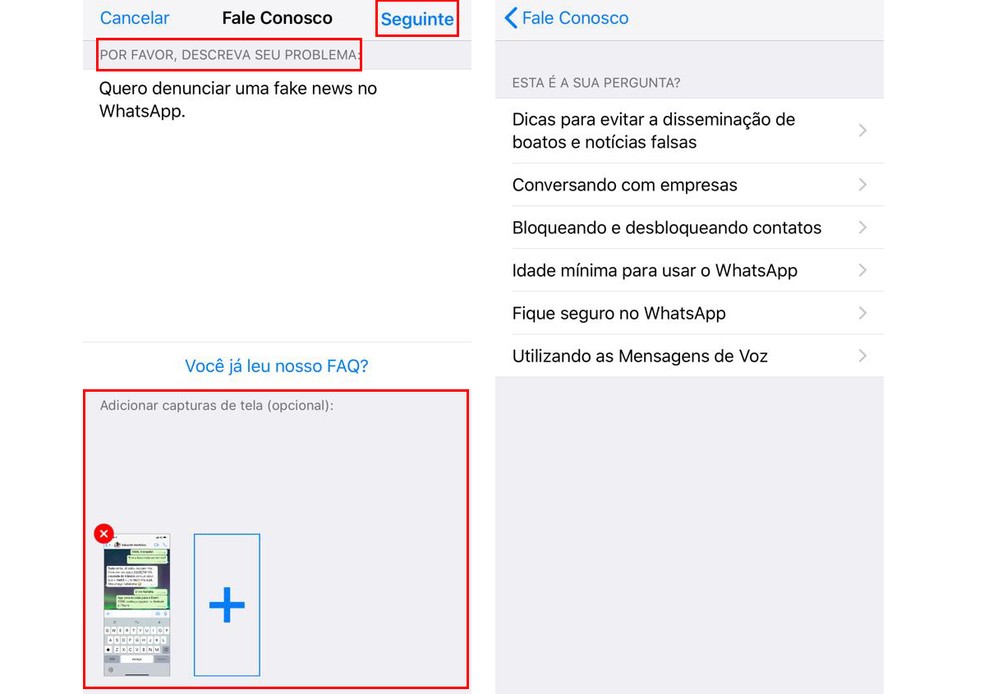 WhatsApp: saiba com denunciar fake news no app — Foto: Reprodução/Anna Kellen