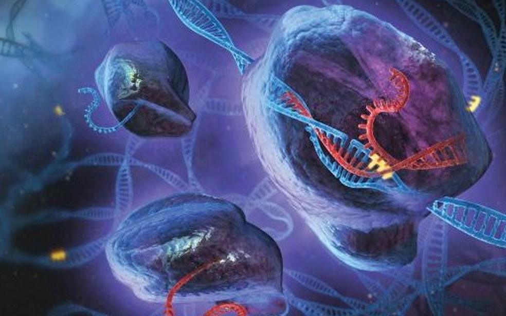  Ilustração mostra atividade da CRISPR alterando a sequencia genética de molécula de DNA (Foto: S. Dixon/F. Zhang/Divulgação)
