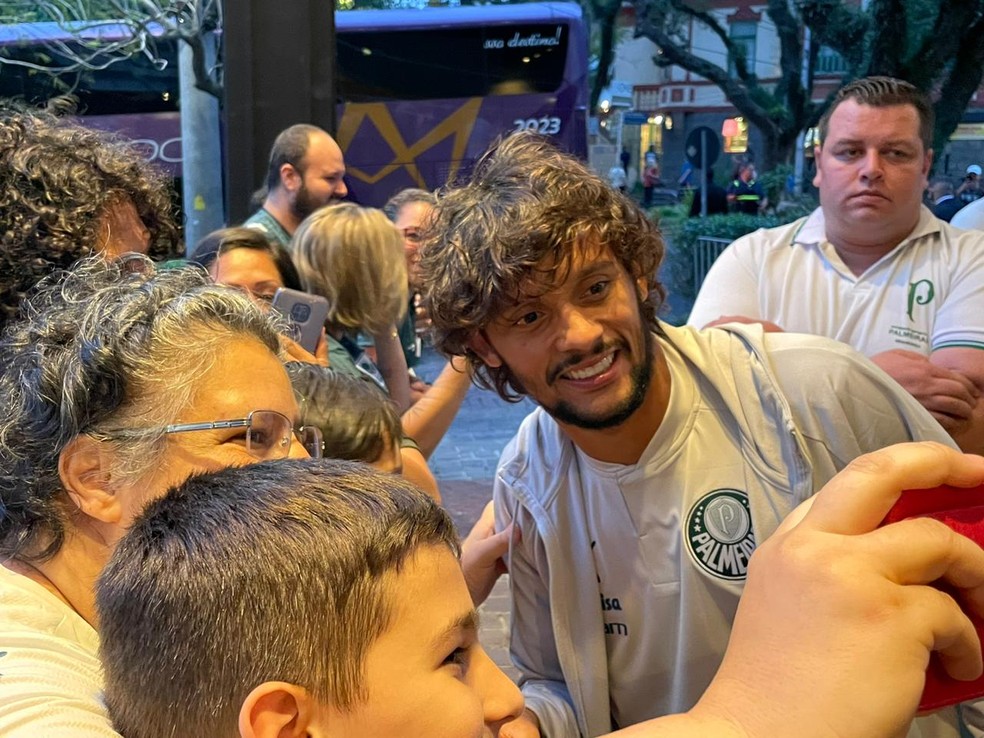 Palmeiras chega a Porto Alegre com desfalques para despedida do Brasileirão; veja relacionados