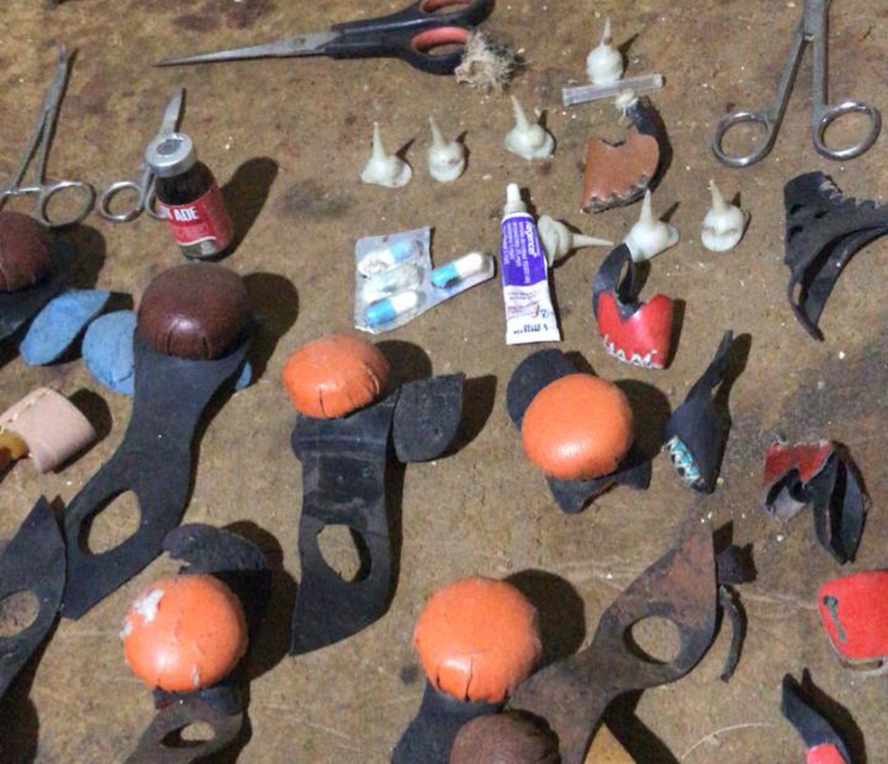 Objetos usados nos galos durante as rinhas foram apreendidos em Livramento de Nossa Senhora — Foto: Divulgação/SSP-BA