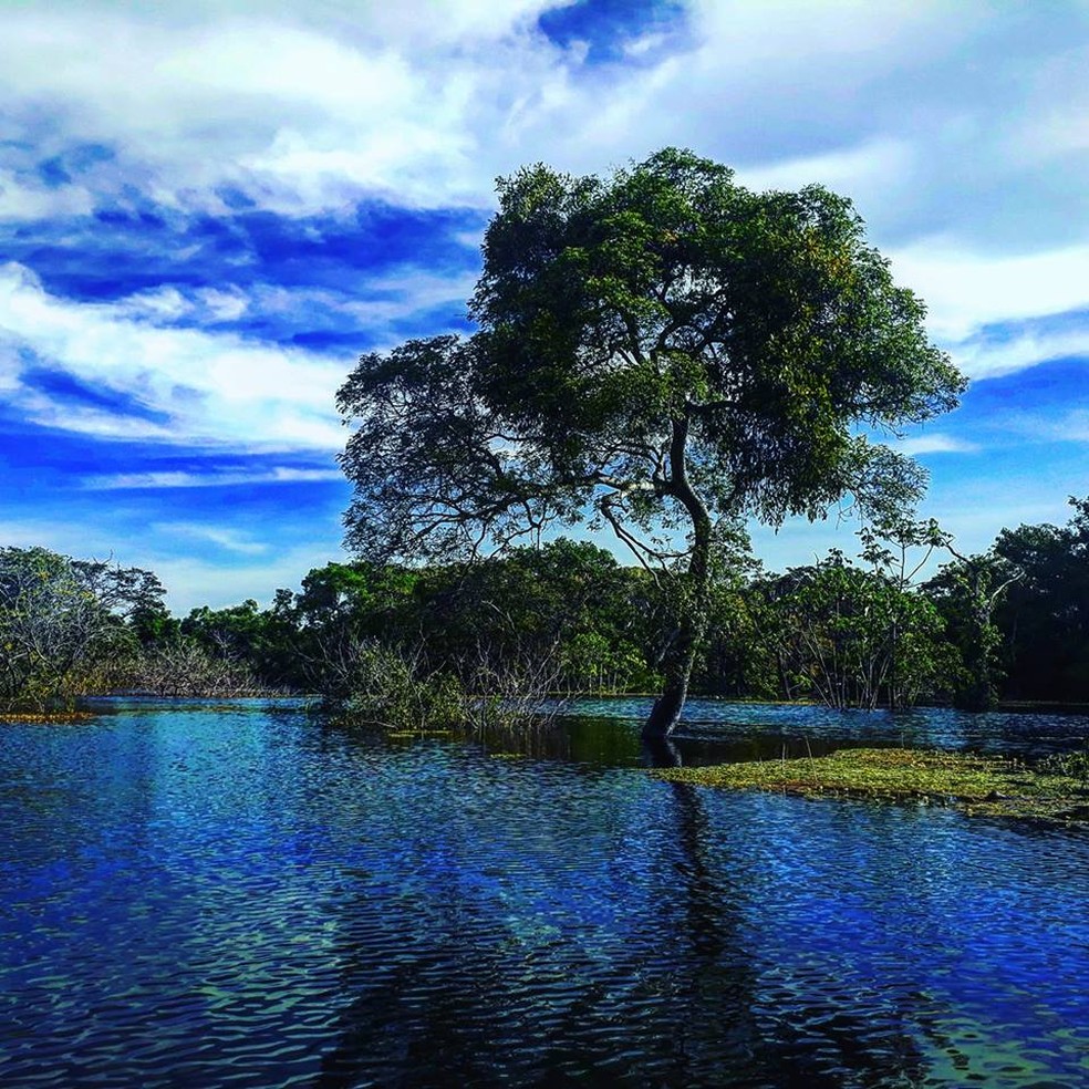 Paraíso amazônico: tesouro para as futuras gerações (Foto: Arquivo Pessoal)