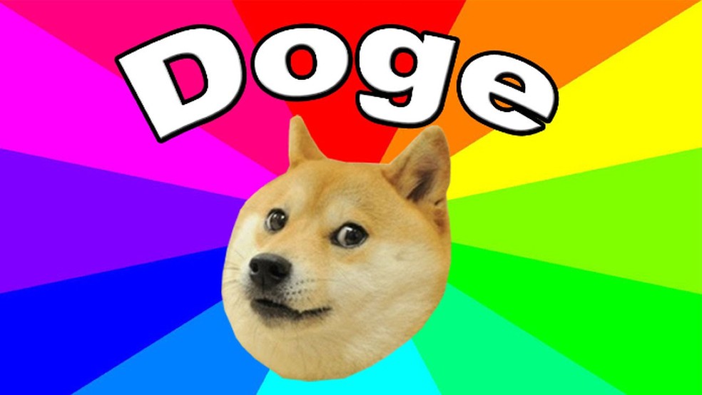 O cachorro mais famoso da internet fez sucesso por sua expressão quase humana — Foto: Reprodução