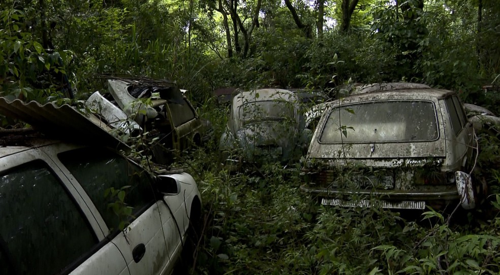 Chácara foi alvo de fiscalização da Vigilância Sanitária  (Foto: Reprodução/EPTV)