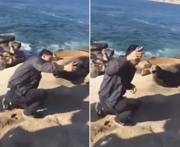 Jovem se deu mal ao tentar tirar selfie ao lado de leão-marinho na Rússia (Foto: Reprodução/YouTube/Fresh Video)