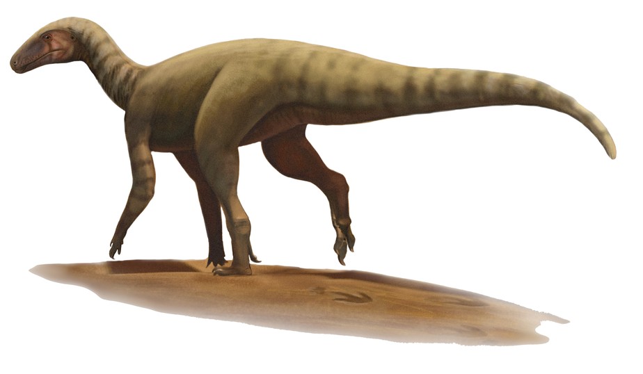 Reconstrução do Amanasaurus nesbitti em vida