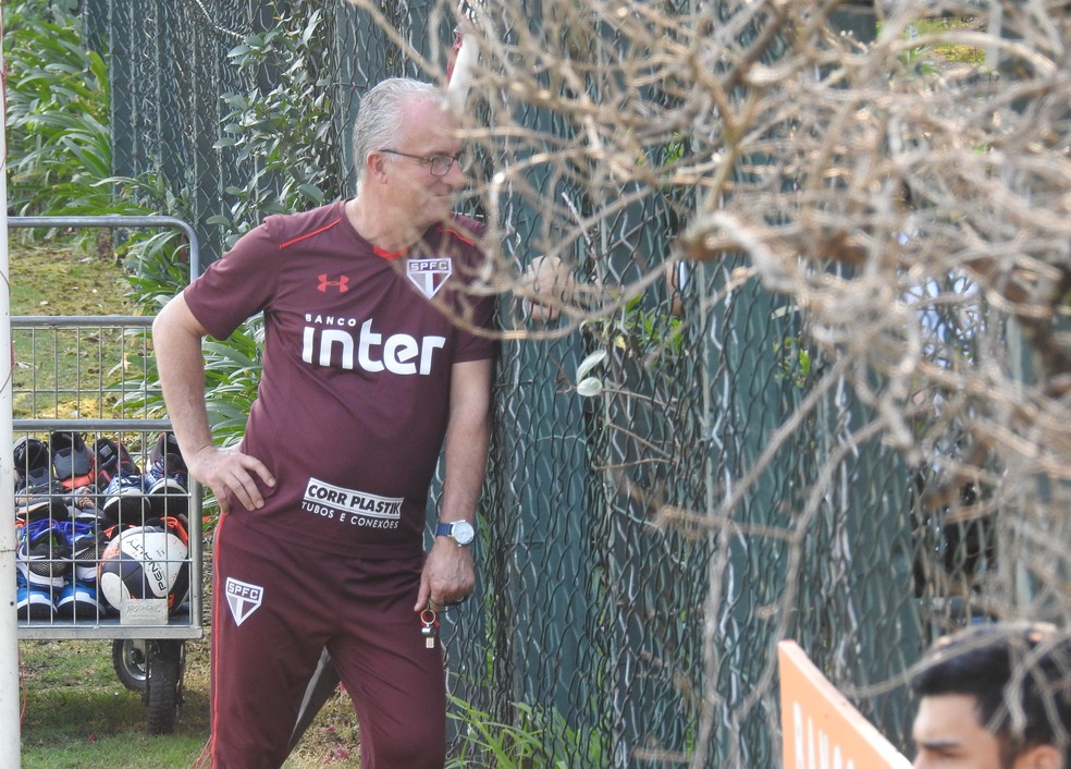 Somente Dorival Júnior dará entrevista no CT nesta semana (Foto: Marcelo Hazan)
