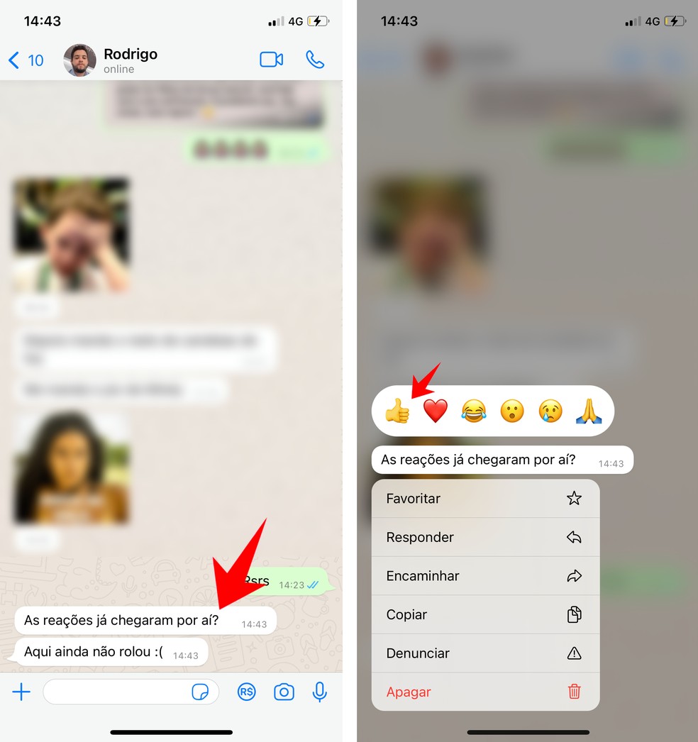 Os usuários já podem reagir a uma mensagem do WhatsApp pelo celular — Foto: Reprodução/Rodrigo Fernandes