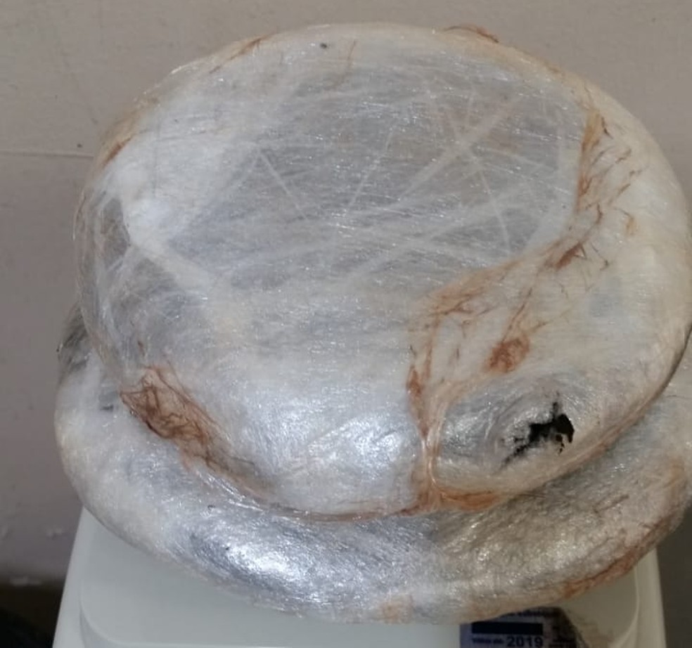 Porções de haxixe foram apreendidos após limpeza de ônibus — Foto: Polícia Civil