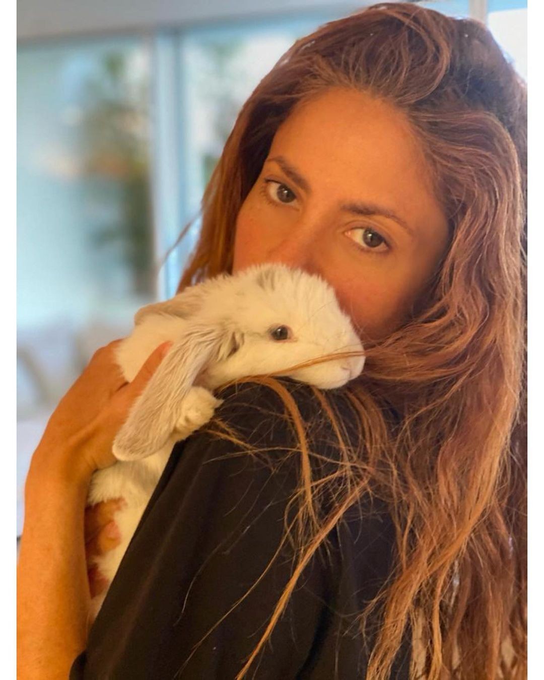 Shakira adota coelho (Foto: Reprodução / Instagram)