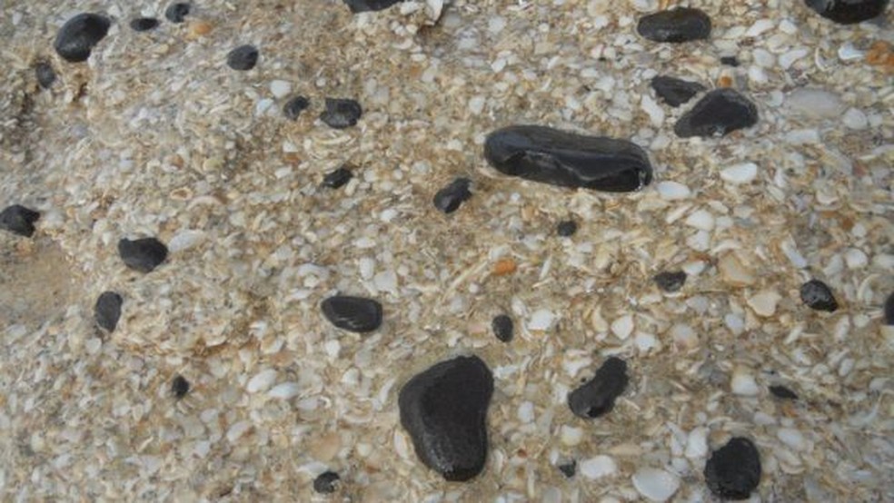 O naturalista descreveu as beachrocks na praia de Jaconé — Foto: Kátia Leite Mansur/BBC