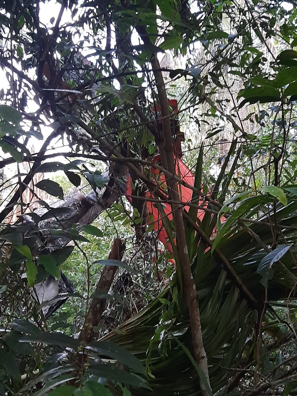 O avião agrícola caiu em uma fazenda em Paranatinga (MT) durante uma pulveirização — Foto: PM/MT
