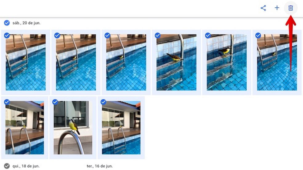 Apagando várias fotos do Google Fotos — Foto: Reprodução/Helito Beggiora