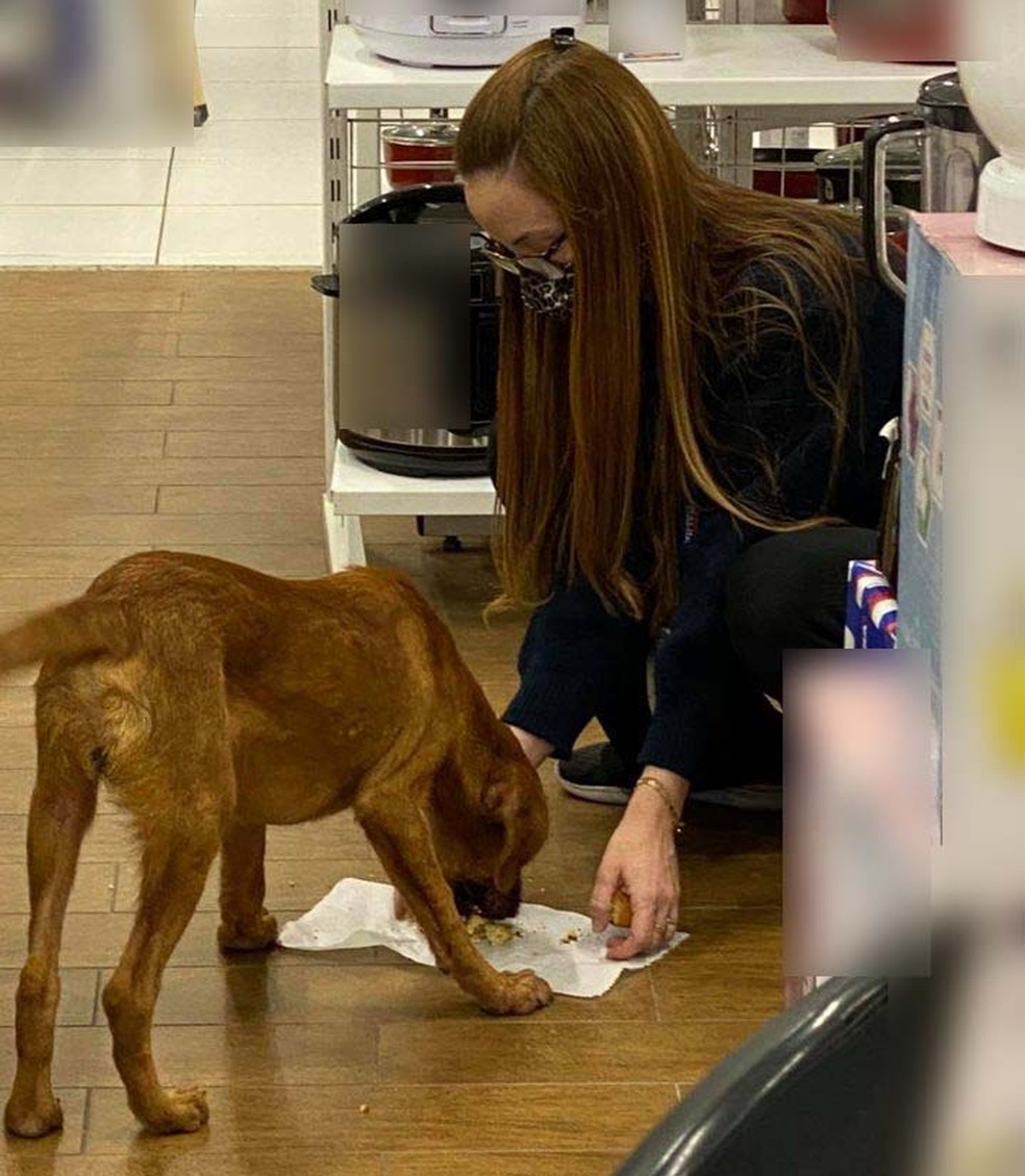 Vendedora viralizou após pegar o próprio alimento para dar a cachorro de rua, dentro de loja em Cubatão, SP — Foto: Reprodução/Redes Sociais