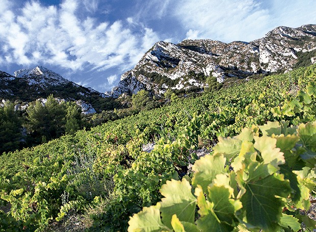 2 Château Romanin, vinícola em Saint-Rémy-de-Provence, que utiliza o método biodinâmico  (Foto: Herve Fabreo/Divulgação)