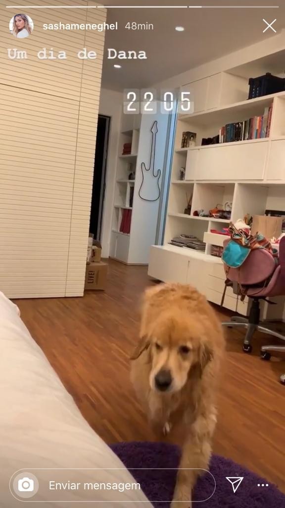 Cadela de Sasha molha seu quarto após pular na piscina (Foto: Reprodução / Instagram)